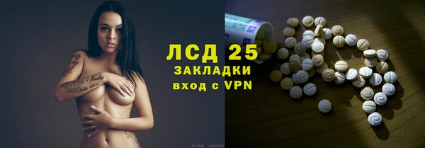 прущие грибы Карталы