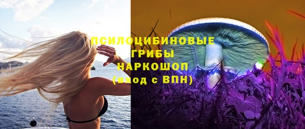 прущие грибы Карталы