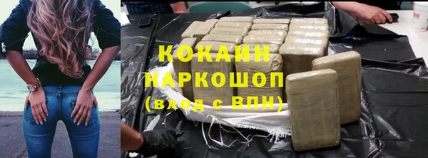 прущие грибы Карталы