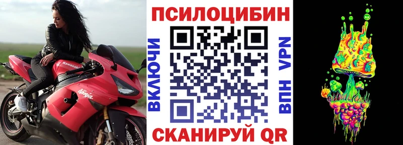 Псилоцибиновые грибы Psilocybe  Купить  Шахунья 